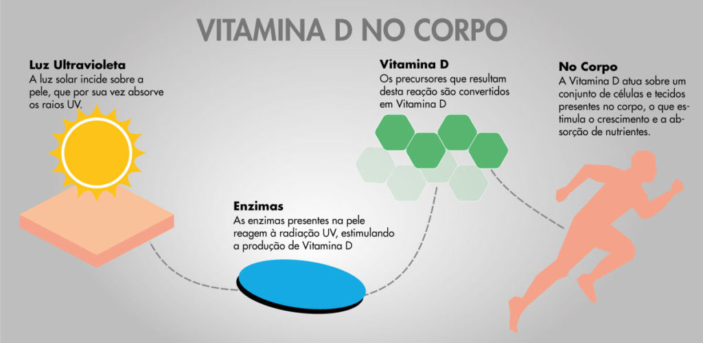 Vitamina D: dieta adequada e banho de sol para uma vida mais saudável ...